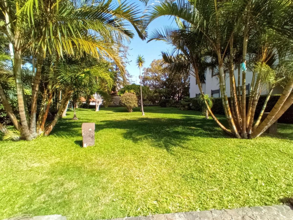 Garden's Apartment Funchal  Buitenkant foto